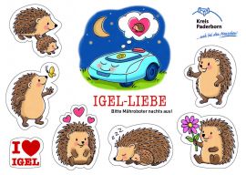 Igel-Liebe Postkarte
